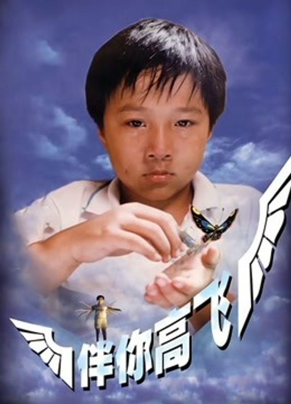 伴你高飞1998_深情触摸电视剧全集免费观看高清