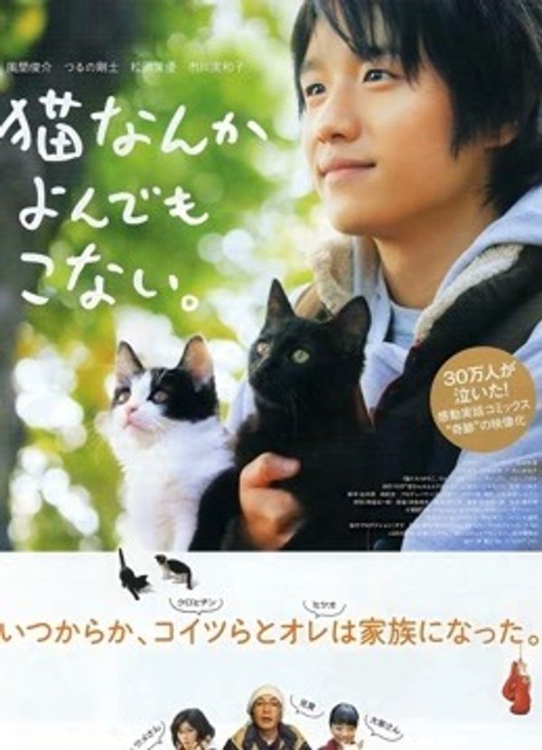 为什么猫都叫不来_亚洲一区二区在线视频