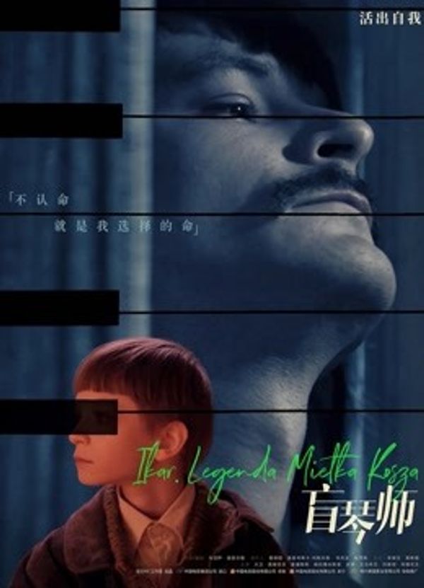 盲琴师（普通话）_亚洲砖区区免费