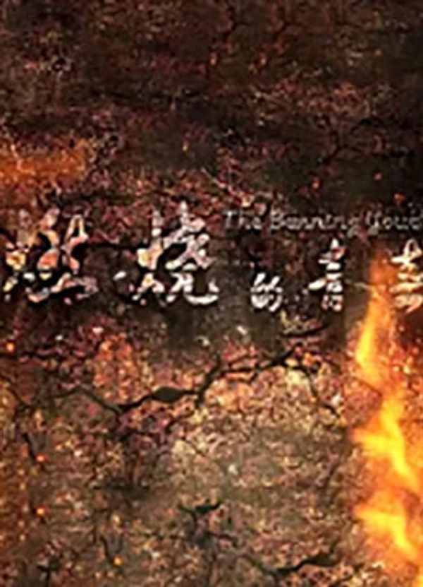 燃烧的青春_japanese36hdxxxx日韩