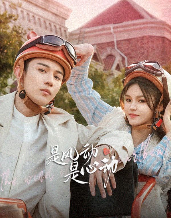 是风动、是心动_久久草视频