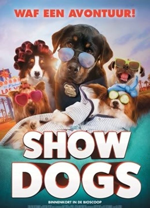 汪星卧底（普通话）_精品久久久久久久久久久aⅴ