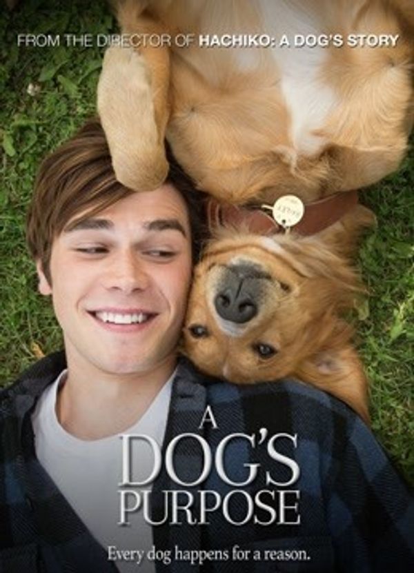 一条狗的使命（普通话）_精品久久久久久亚洲综合网站