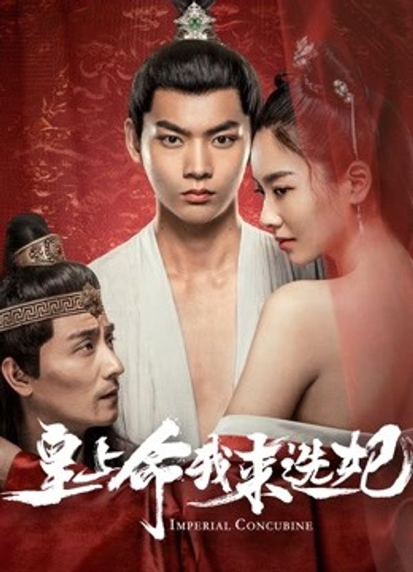 皇上命我来选妃_久久av在线